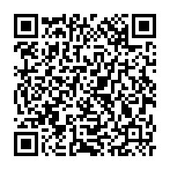 大園交流道大馬路乙工(可分割)-QR CODE