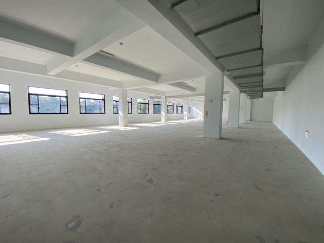 桃園中壢廠房-3