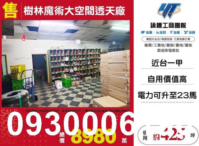 新北樹林透天-0